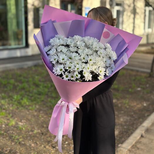 Букет из белых ромашек (кустовых хризантем ромашковых)