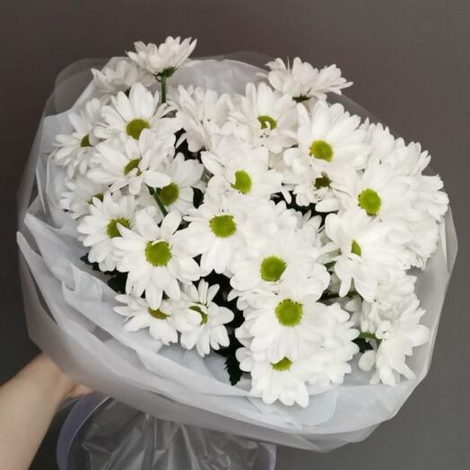 Букет ромашек 🤍