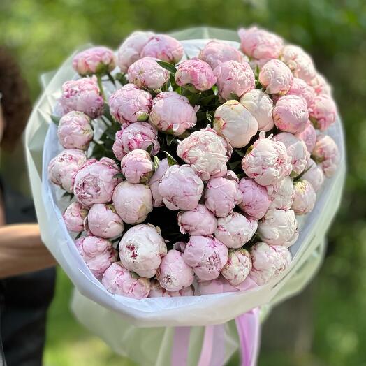 51 розовый пион XL 🌸 огромный WOW букет