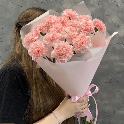 Розовые гвоздики ( диантусы )