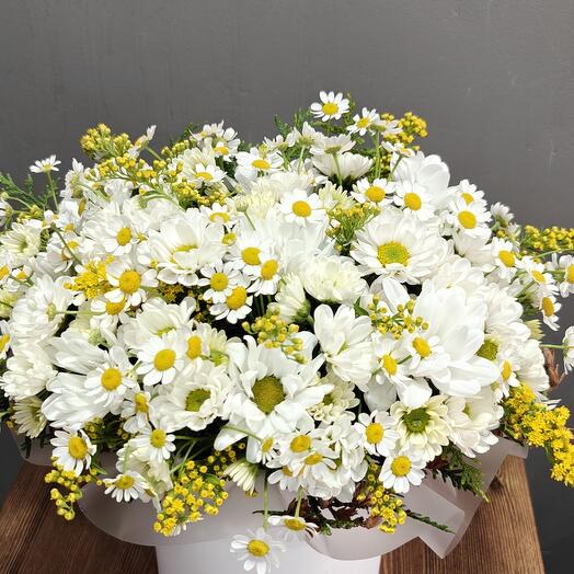 Flowers in a box Chamomile mix