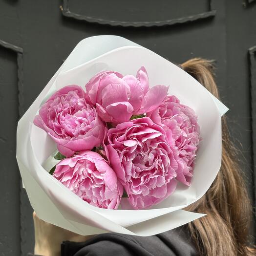 Peony Sarah Bernardt 5 pc Пионы
