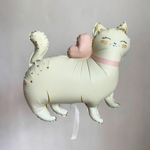 Воздушный шар Мур-Котик