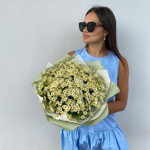 Букет ромашек М