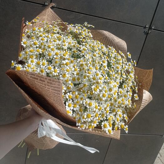 Букет из ромашки (танацетум)