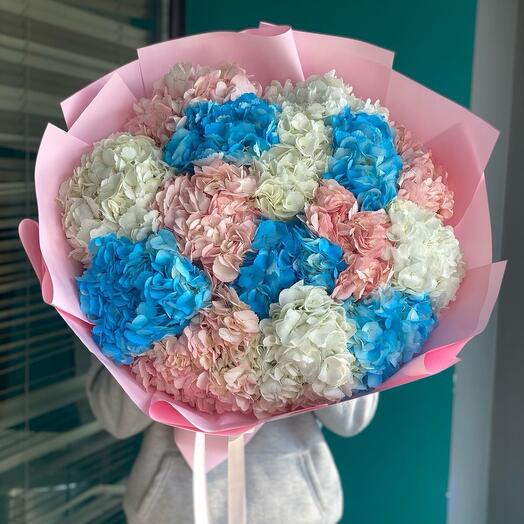 15 гортензии миксом