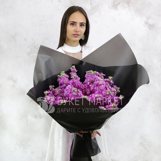 Сиреневые маттиолы