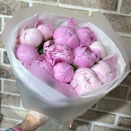 Пионы мечты 15 шт