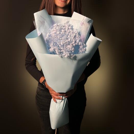 Букет из стабилизированной гортензии