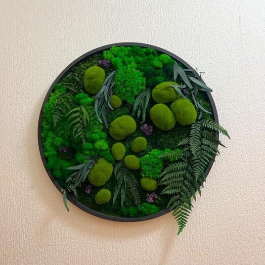 Картина из стабилизированного мха и растений