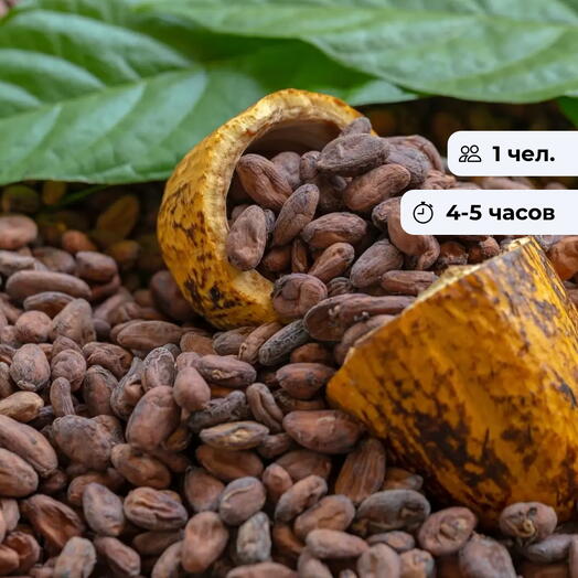 Наследие Ацтеков. Какао-церемония