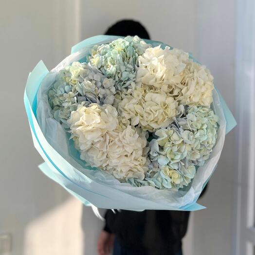 Букет "7шт гортензий"