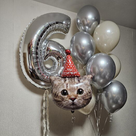 Набор гелевых шаров с фигурой котик,кот в колпачке,котенок на 6 лет ребенка-12 шаров