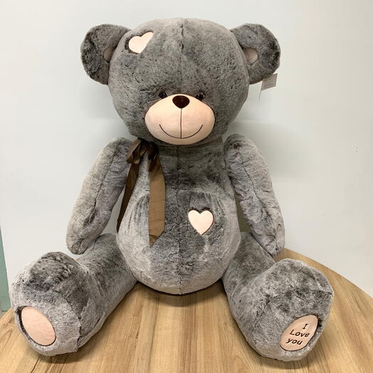 Большой медведь 🐻