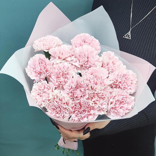 Нежные  Розовые Диантусы-15