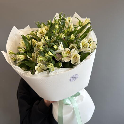 Белая альстамерия