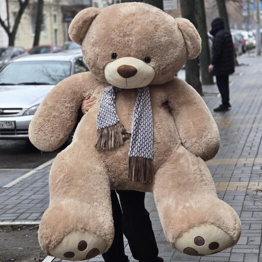 Большой плюшевый мишка