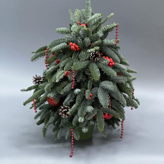 Елочка из нобилиса с украшением