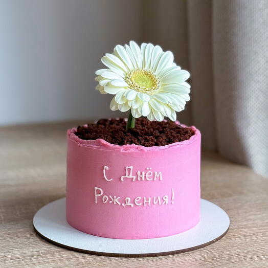 Торт-горшочек с живым цветком 🩷