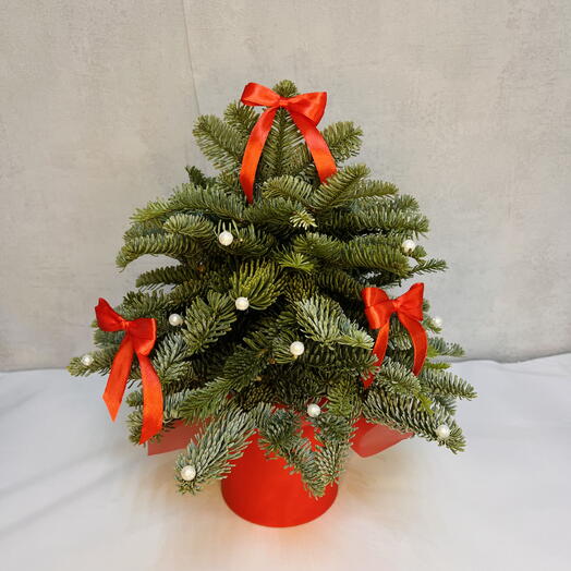 🌲Композиция из нобилиса в шляпной коробке