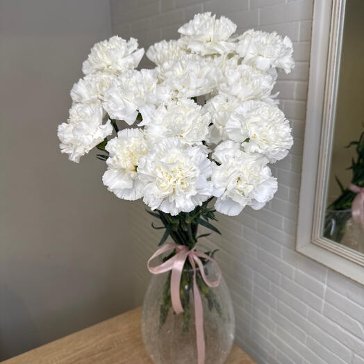 Dianthus