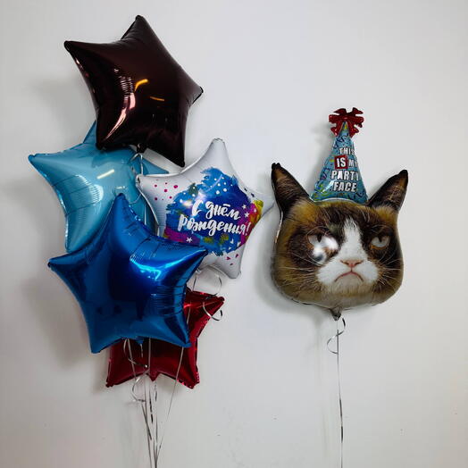 Звездный праздник с котом