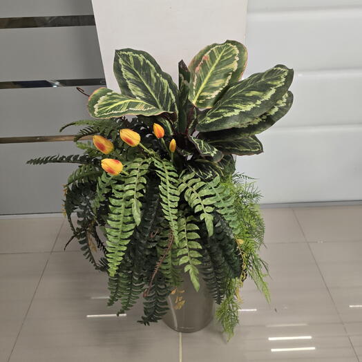 Цветочная клумба с тюльпанами