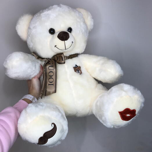 🐻плюшевый медведь