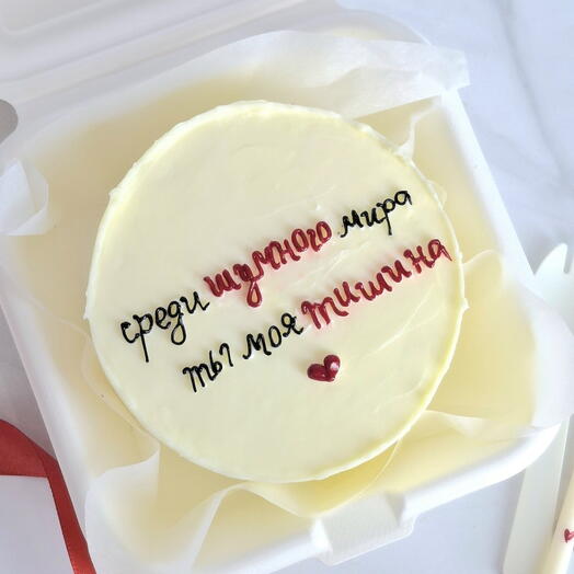 Бенто торт "Среди шумного мира ты моя тишина" на 14 февраля