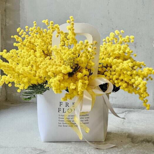 Мимоза в стильной сумочке