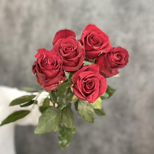 Бордовая Роза 5