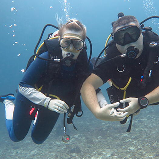 Подарочный сертификат Полный курс дайвинга, выдача международн. сертификата, 1 чел. индивидуально