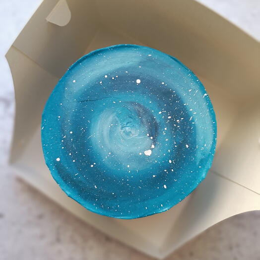 Bento maxi Cosmos Cake