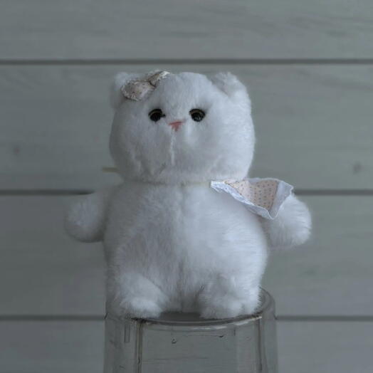 Котя 1