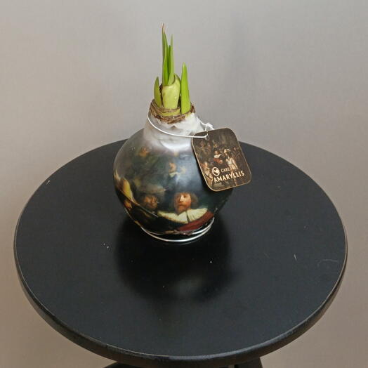 Амариллис в воске картина