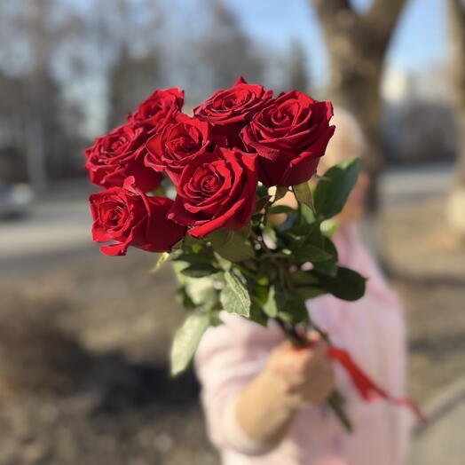 7 роз Эквадор под ленту