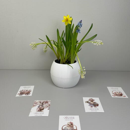 Композиция пасхальная из нарцисса и мускари