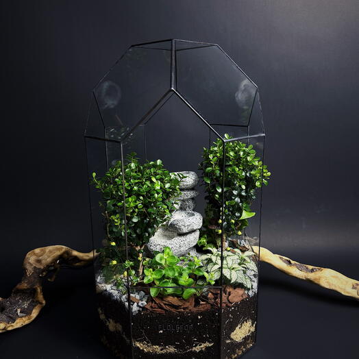 Флорариум с деревом-бонсай мирсиной африканской "Большой водопад"