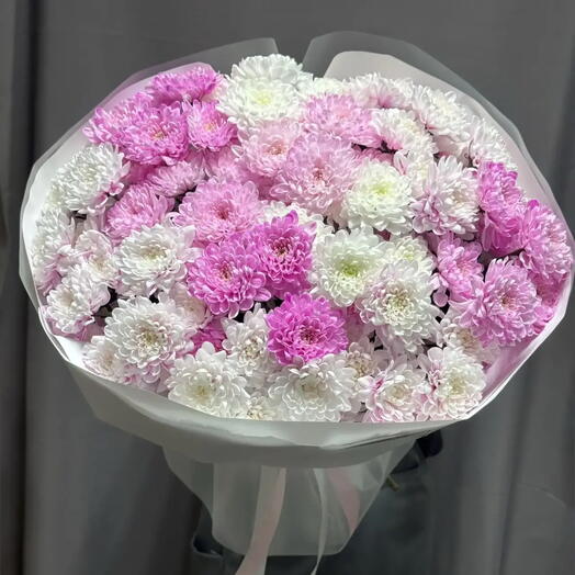 Яркие и нежные хризантемы 🌸