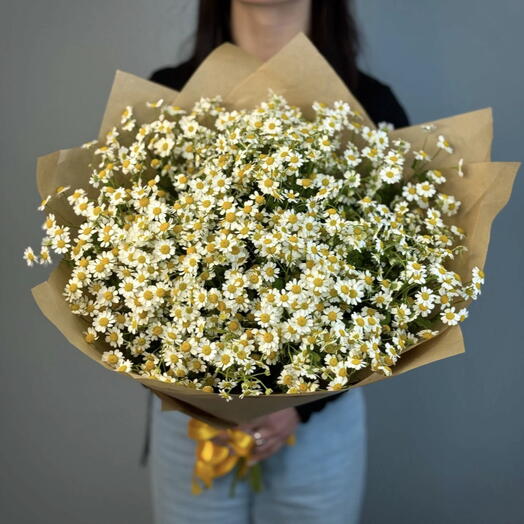 Ромашки