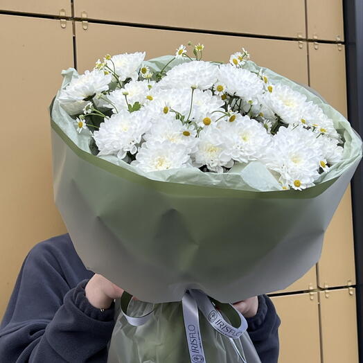 Ромашки в поле