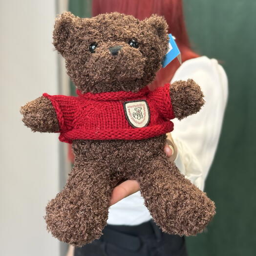 Мягкая игрушка Мишка в кофте