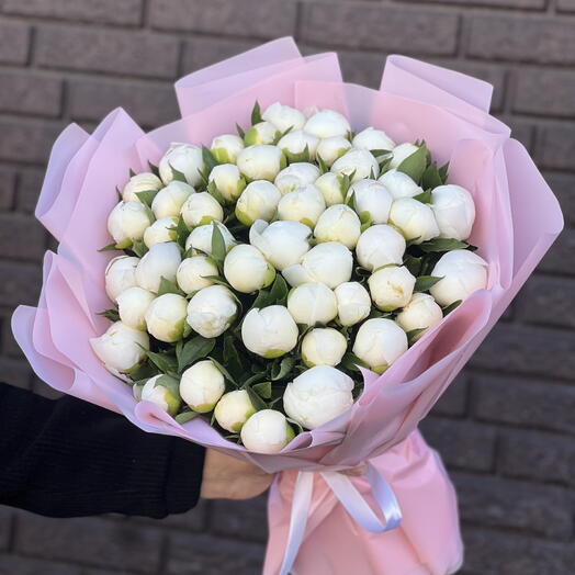 Букет из 51 белого пиона