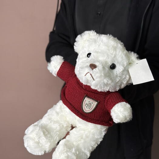 Мишка в красном свитере 🐻‍❄️️
