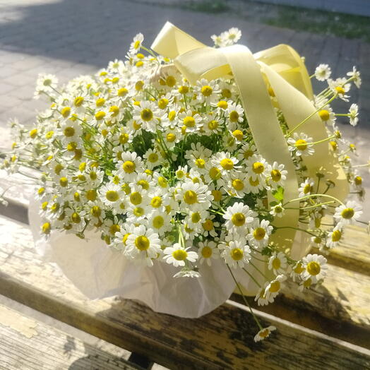 Корзина с ромашками