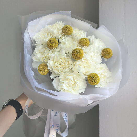 Букет из диантусов и краспедией N 903 + подарок от Vivienne Sabo — румяна MACARON