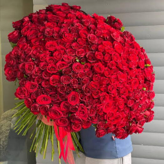 Огромный букет 301 роз 🌹