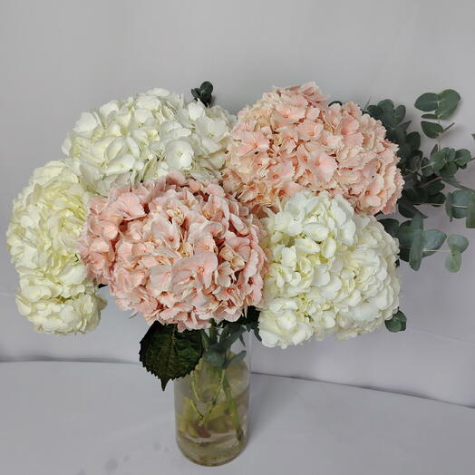 🔥NEW🔥Пачка Сет Гортензия МИКС и эвкалипт
