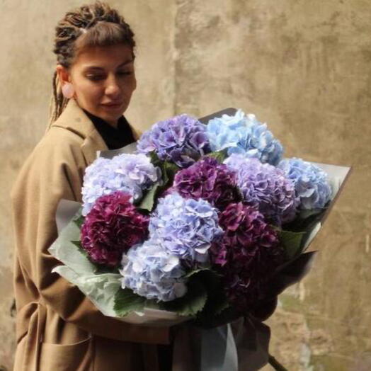 Armful of hydrangeas