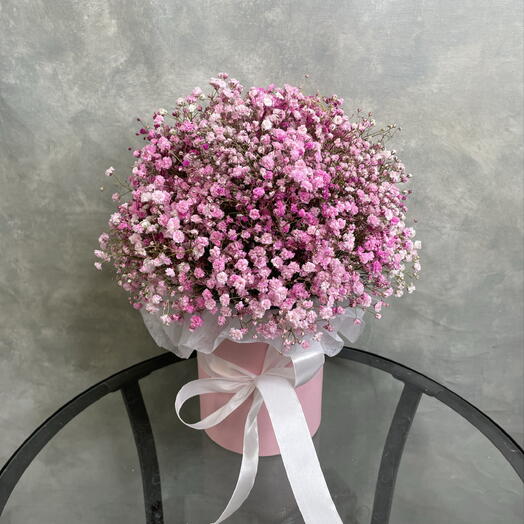 Розовая гипсофила в коробочке
